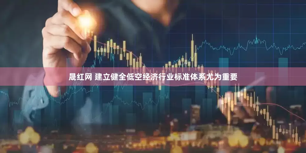 晟红网 建立健全低空经济行业标准体系尤为重要
