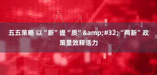 五五策略 以“新”提“质”&#32;“两新”政策显效释活力