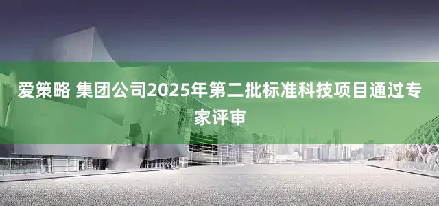 爱策略 集团公司2025年第二批标准科技项目通过专家评审