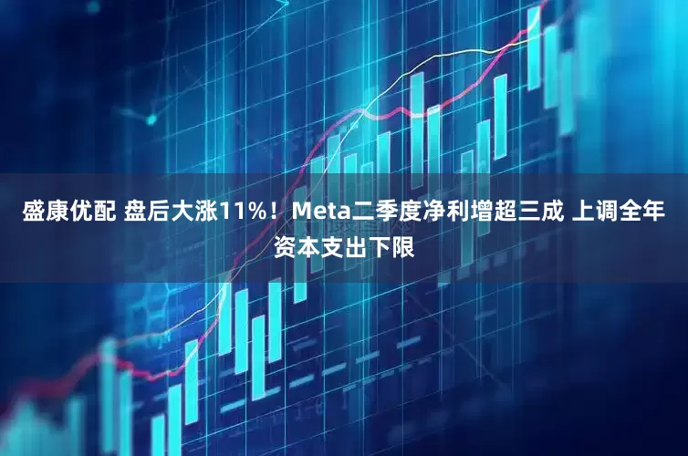 盛康优配 盘后大涨11%！Meta二季度净利增超三成 上调全年资本支出下限