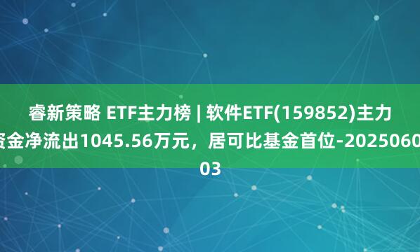 睿新策略 ETF主力榜 | 软件ETF(159852)主力资金净流出1045.56万元，居可比基金首位-20250603