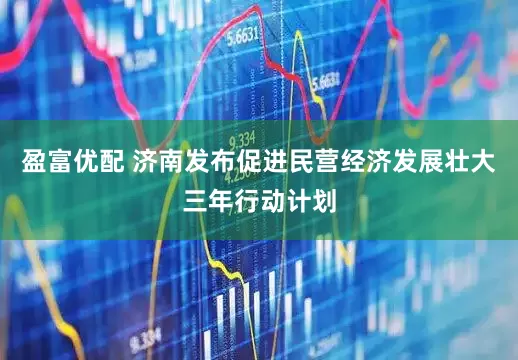盈富优配 济南发布促进民营经济发展壮大三年行动计划